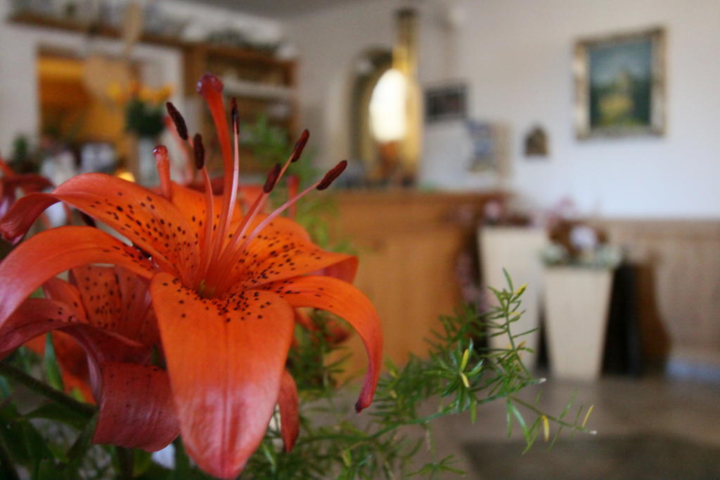 Naturhotel Miraval Perca Extérieur photo